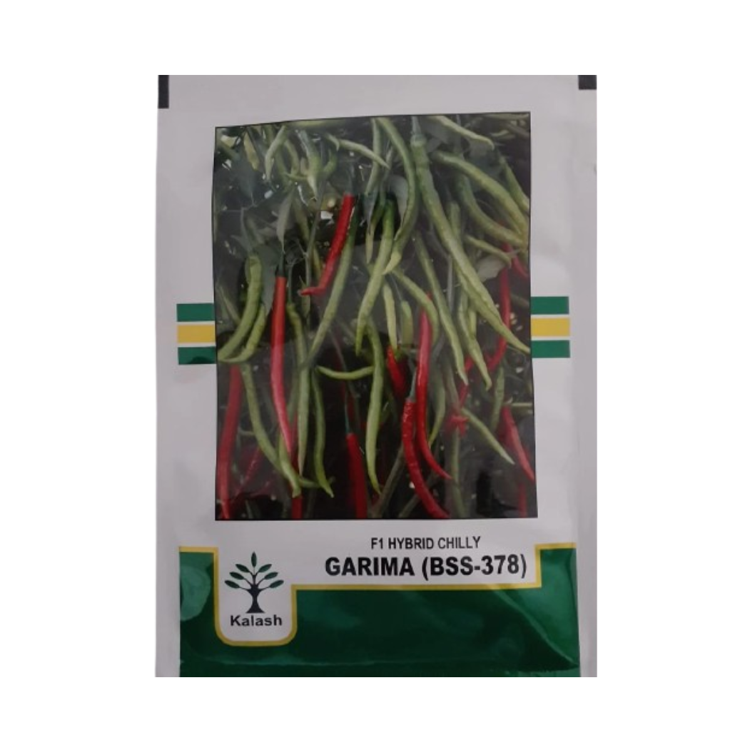 BSS-378 Garima Chilli Seeds - Kalash | F1 Hybrid | Buy at Best Price