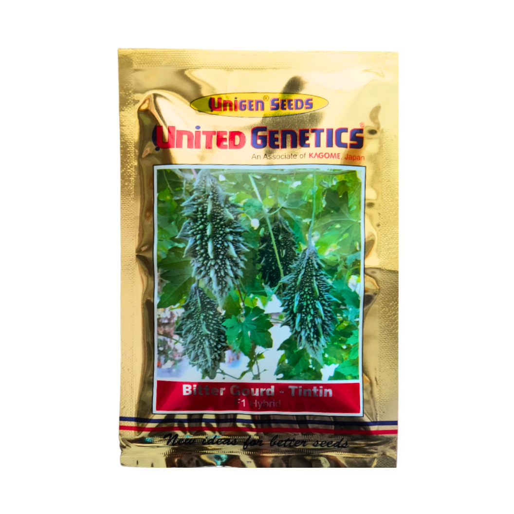 TinTin Bitter Gourd Seeds - Unigen | F1 Hybrid | Buy Online at Best Price