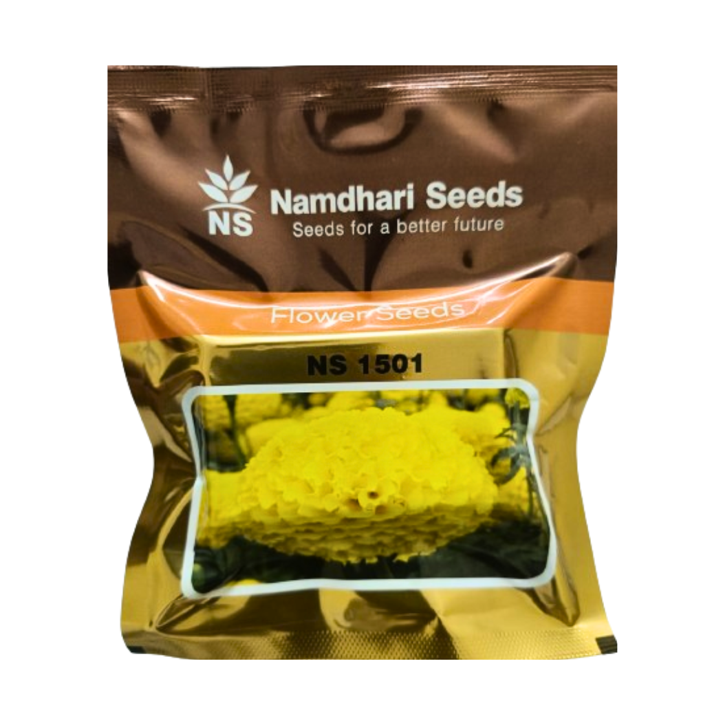 namdhari marigold seeds NS 1501 Marigold Seeds - Namdhari | F1 Hybrid | Buy Online