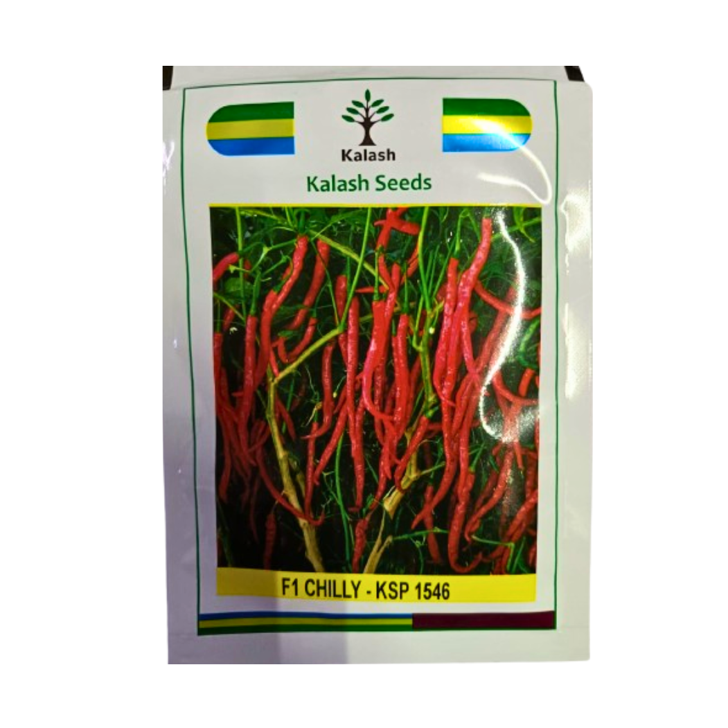 KSP - 1546 Chilli Seeds - Kalash | F1 Hybrid | Buy Online at Best Price