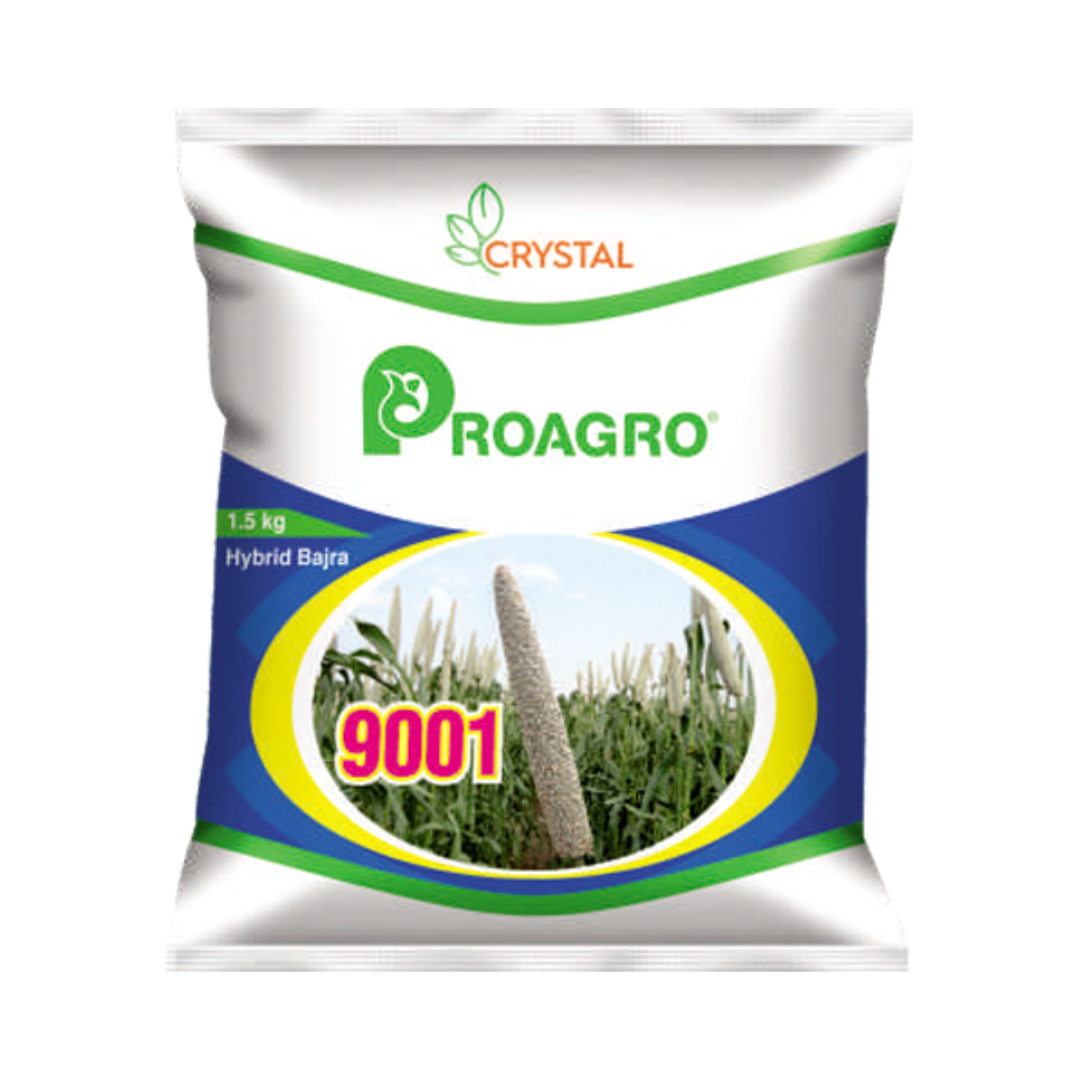 PA 9001 Power Bajra Seeds - Crystal | F1 Hybrid | Buy Online at Best Price