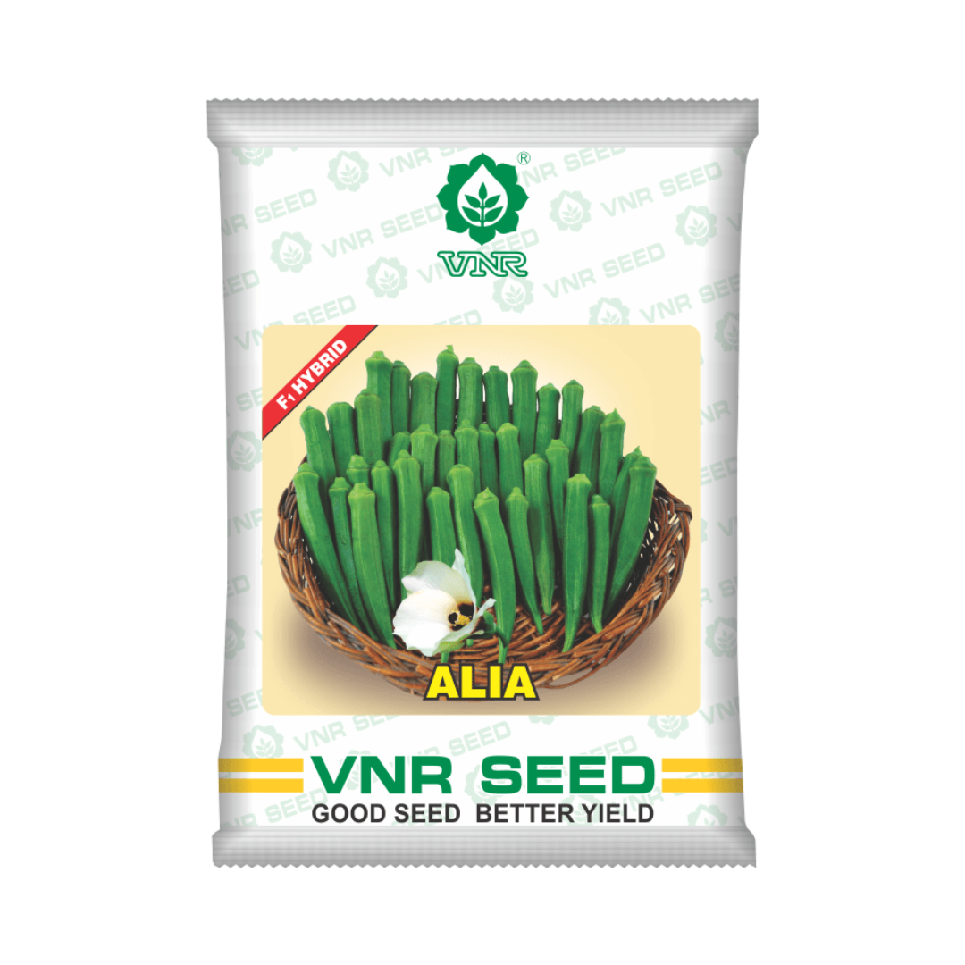 Alia Bhendi Seeds - VNR | F1 Hybrid | Buy Online at Best Price