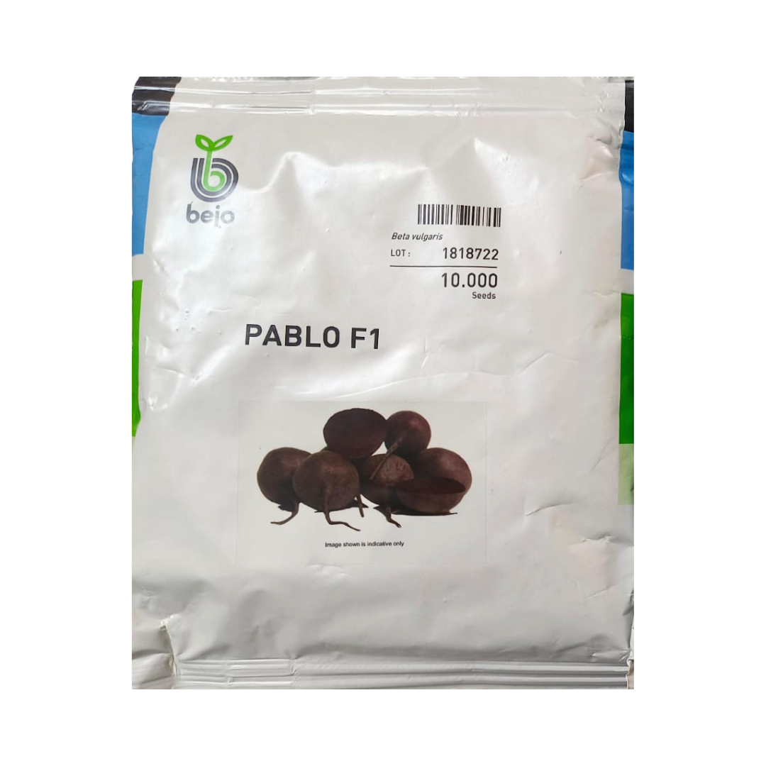 Pablo Beetroot Seeds - Bejo | F1 Hybrid | Buy Online at Best Price Now