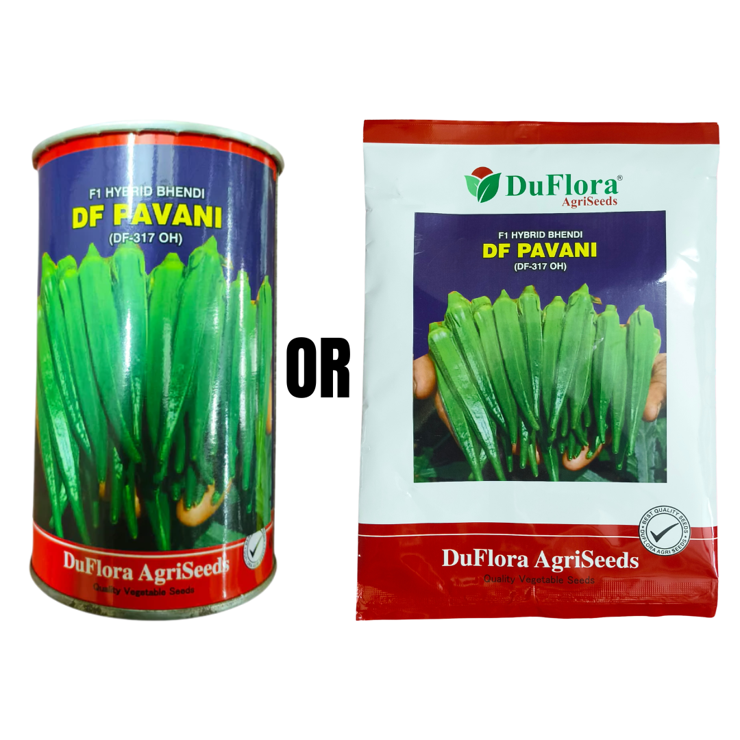 DF Pavani Bhendi Seeds - DuFlora | F1 Hybrid | Buy Online at Best Price – Desikheti