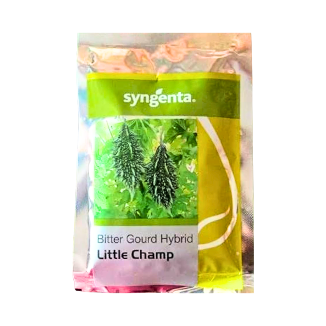 Little Champ Bitter Gourd Seeds - Syngenta | F1 Hybrid | Buy