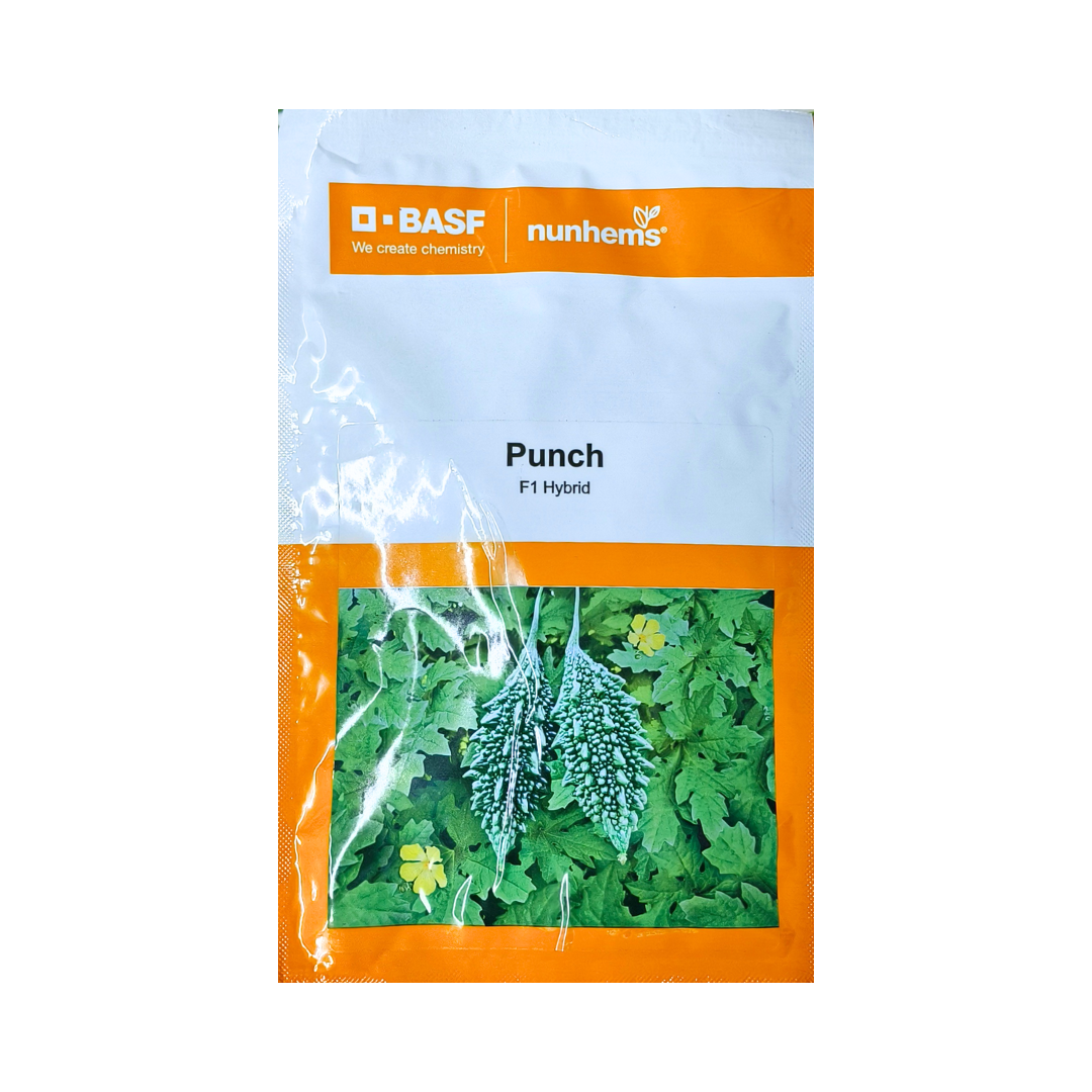 Punch Bitter Gourd Seeds - Nunhems | F1 Hybrid | Buy Online Now