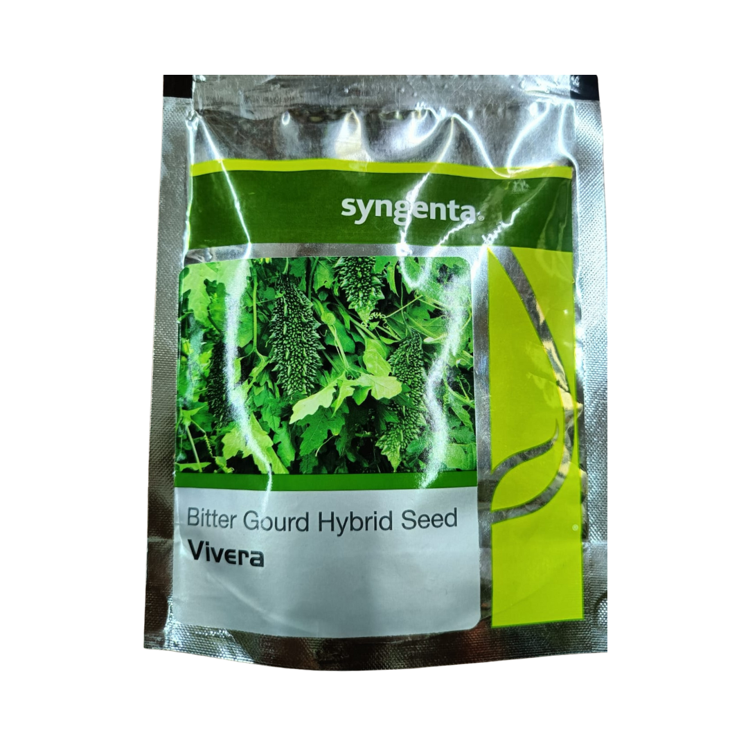 Vivera Bitter Gourd Seeds - Syngenta | F1 Hybrid | Buy Online Now
