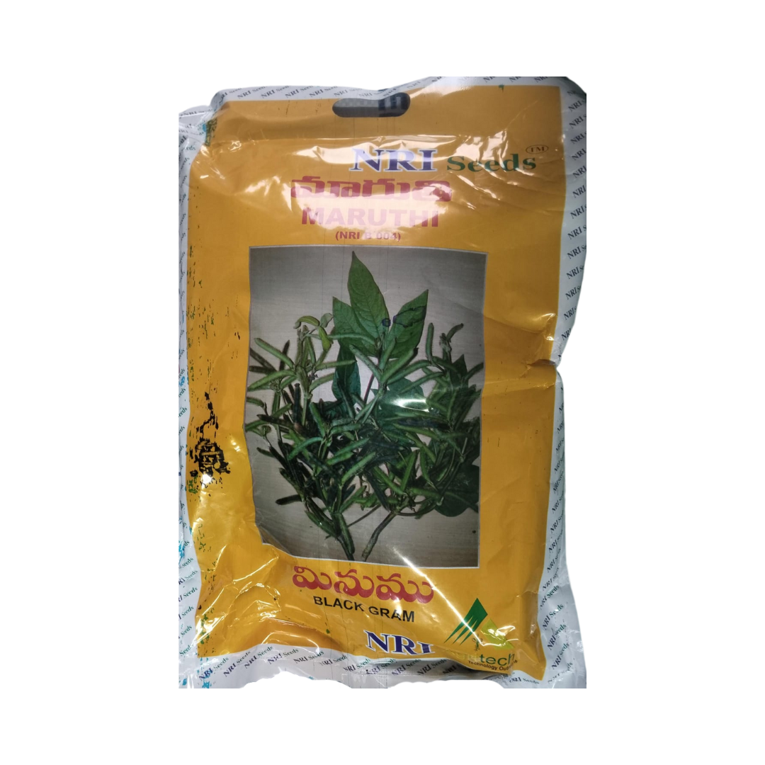 Maruthi Black Gram Seeds - NRI | Buy Online at Best Price - DesiKheti