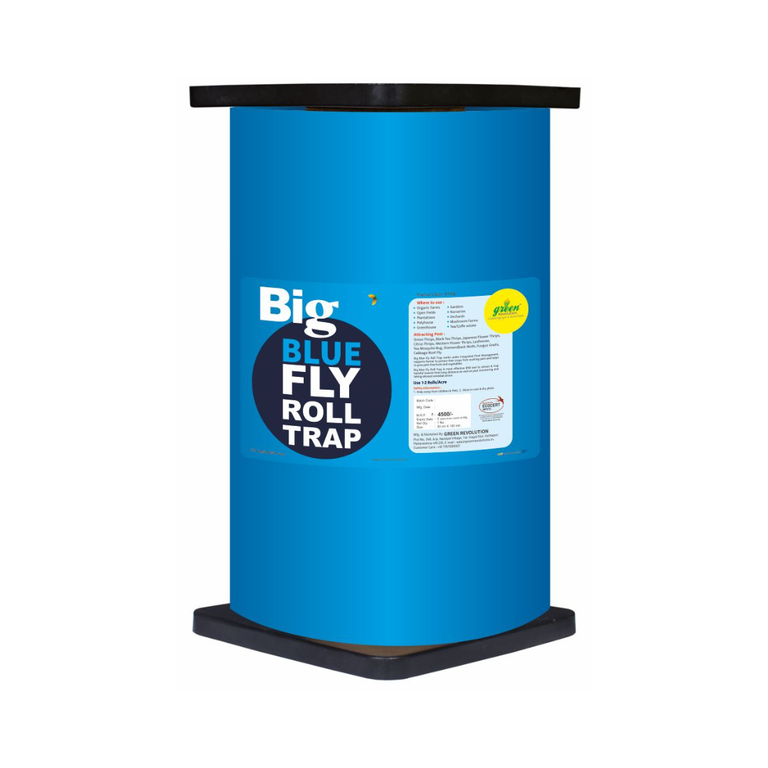 Blue Sticky Rolls - Green Revolution | Buy Online Now - DesiKheti