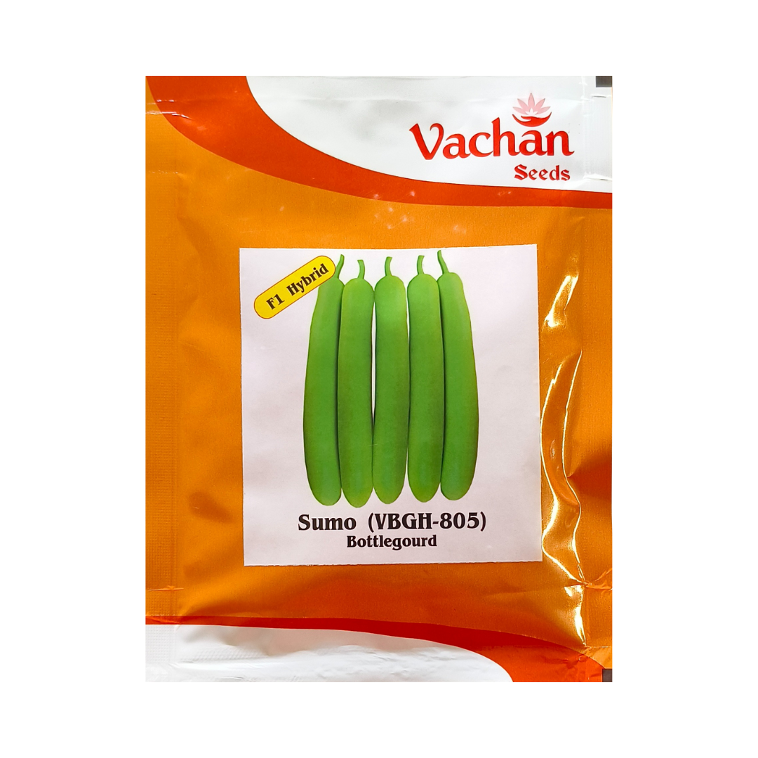 Sumo (VBGH-805) Bottle Gourd Seeds - Vachan Seeds | F1 Hybrid | Buy Now