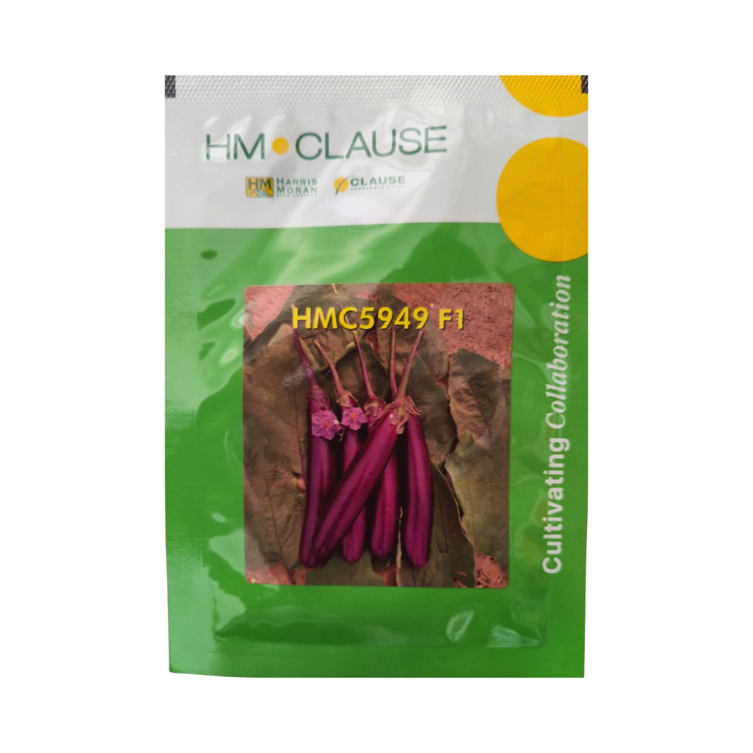HMC5949 Brinjal Seeds - HM Clause | F1 Hybrid | Buy Online Now