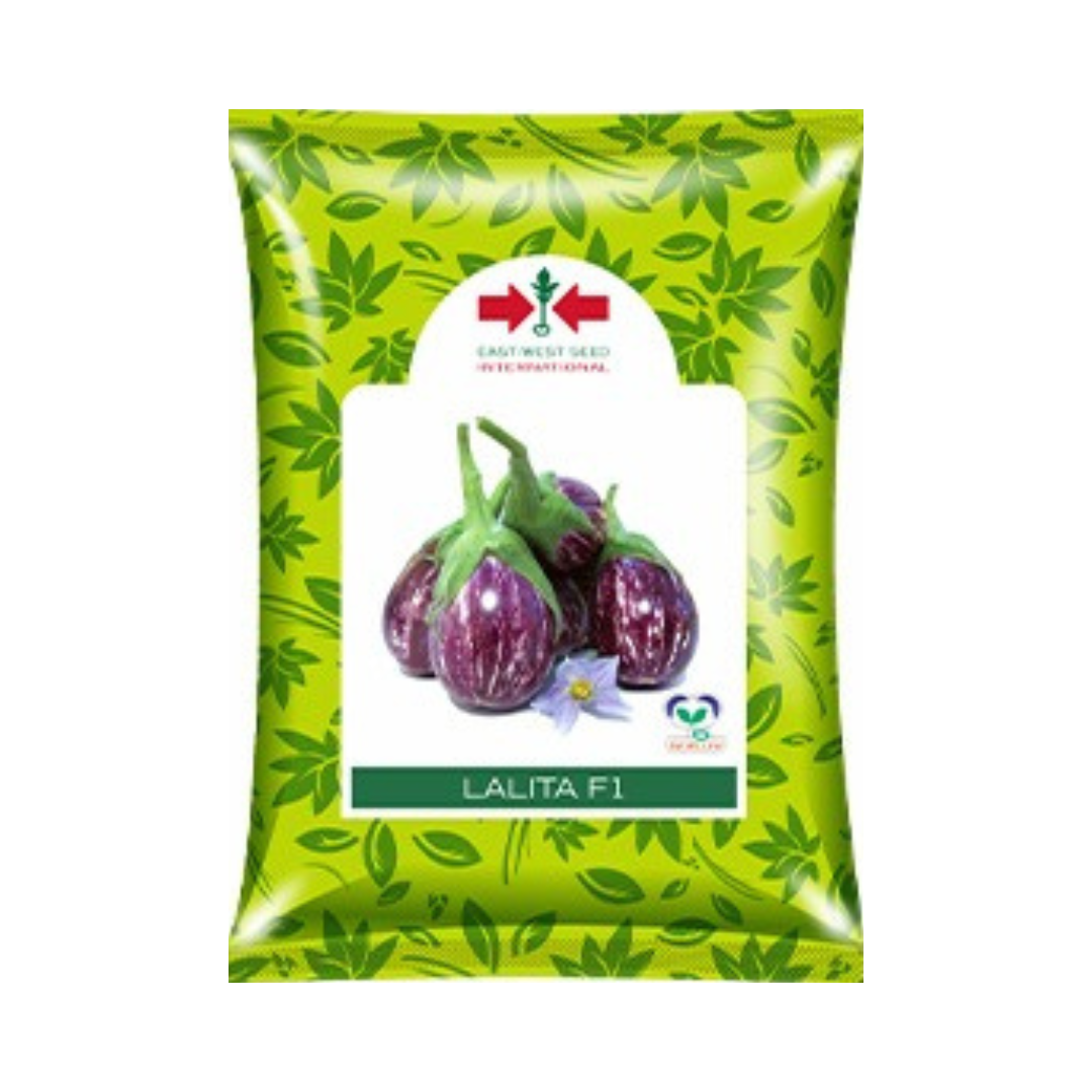 Lalita Brinjal Seeds - East West | F1 Hybrid | Buy Online at Best Price