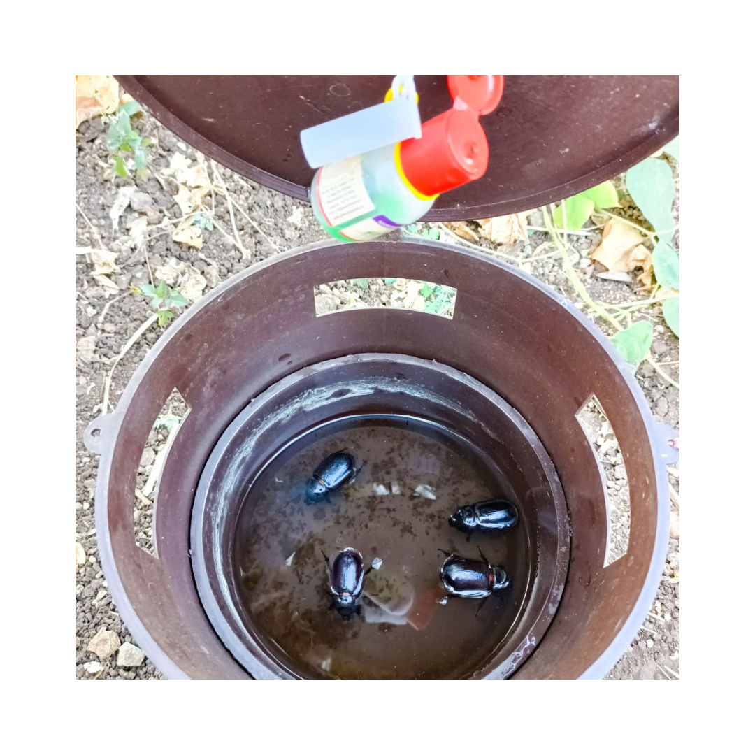 Bucket Trap With Beetle Lure - Green Revolution | Buy Online Now