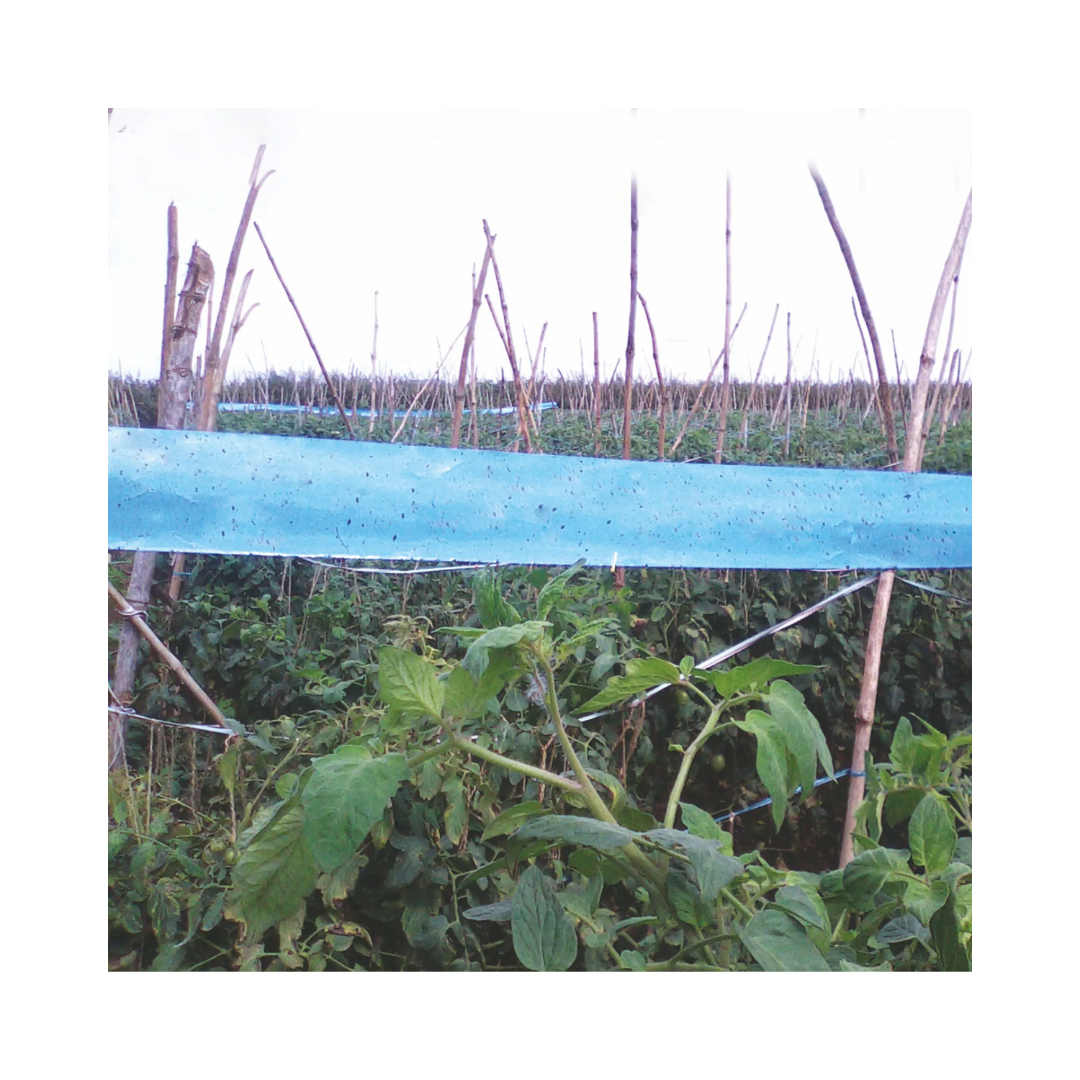 BARRIX Magic Stickers Roll - Blue