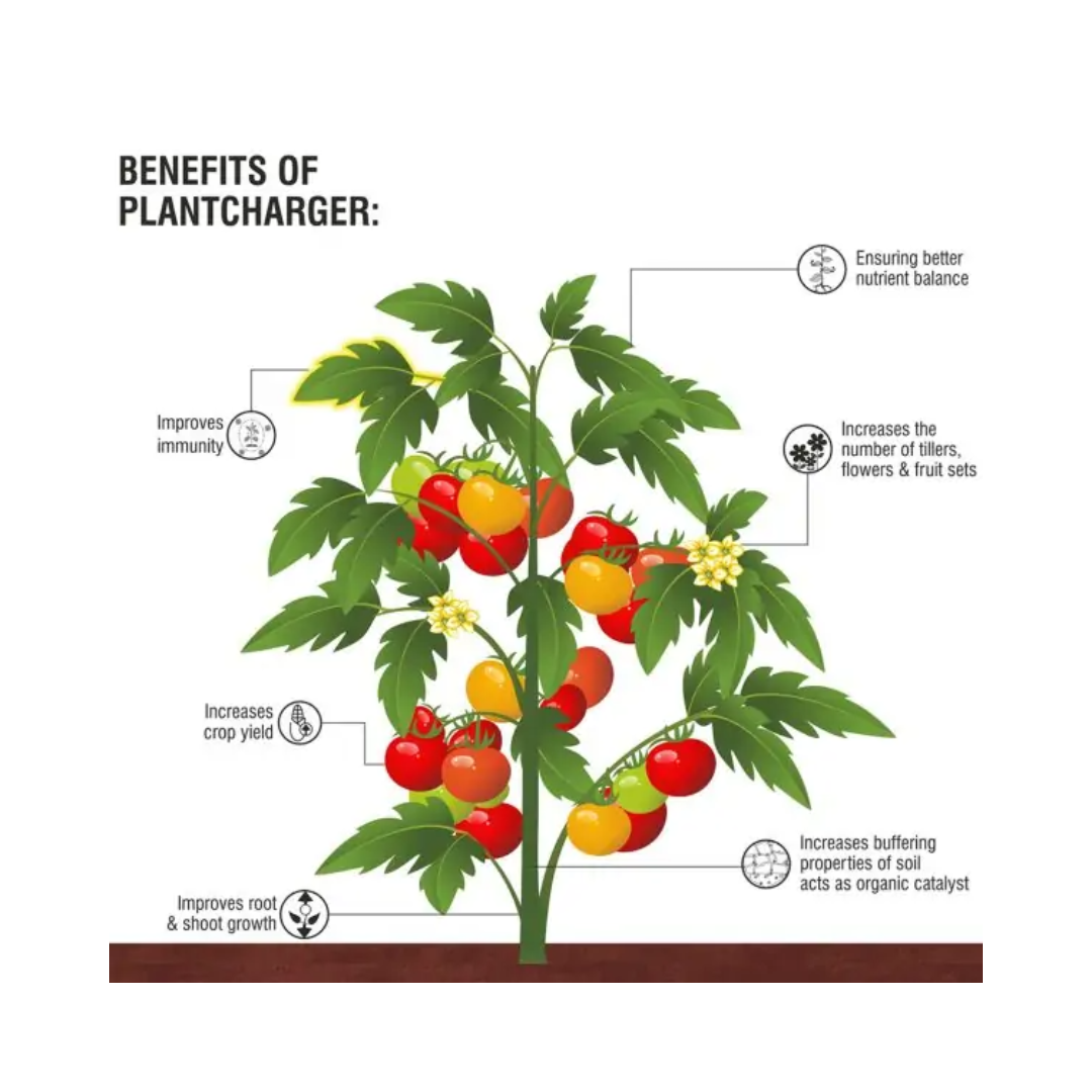 BARRIX Plantcharger