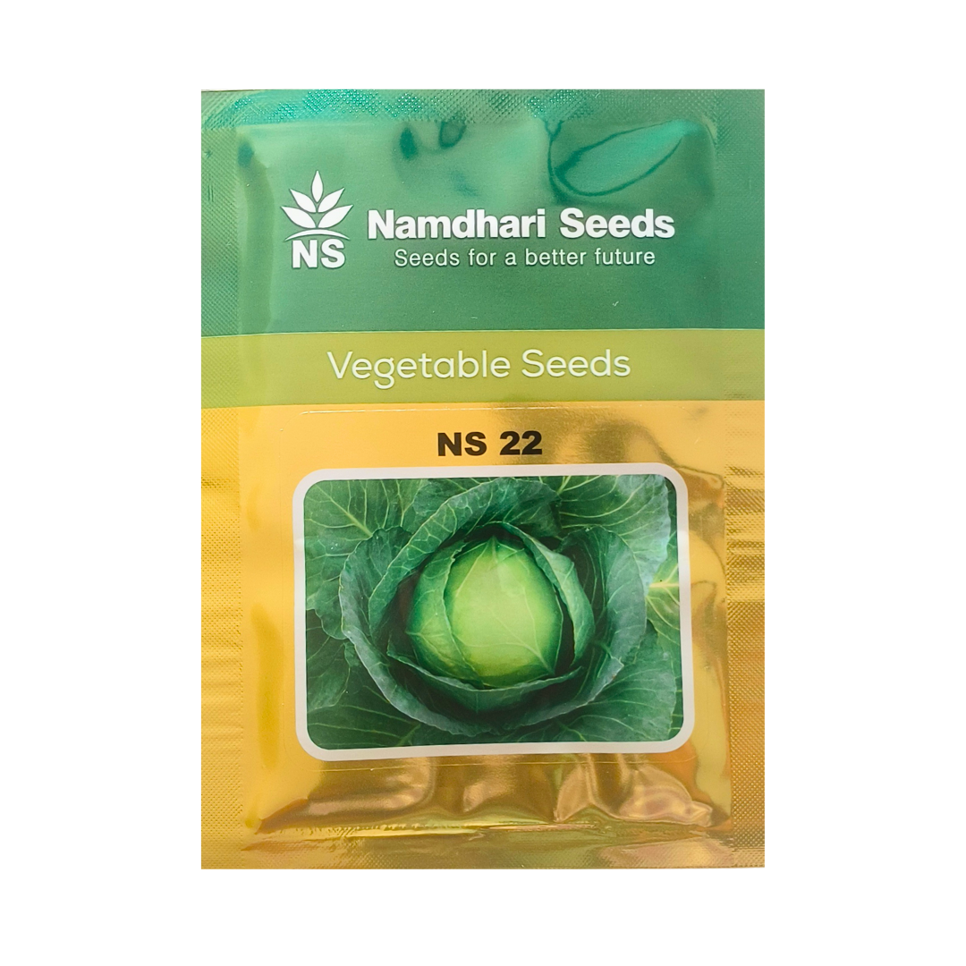 Namdhari NS-22 Cabbage Seeds | F1 Hybrid | Buy Online at Best Price