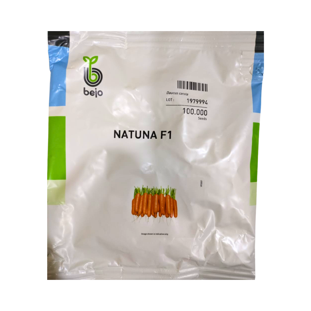 Natuna Carrot Seeds - Bejo Seeds | F1 Hybrid | Buy Online Now - Desikheti