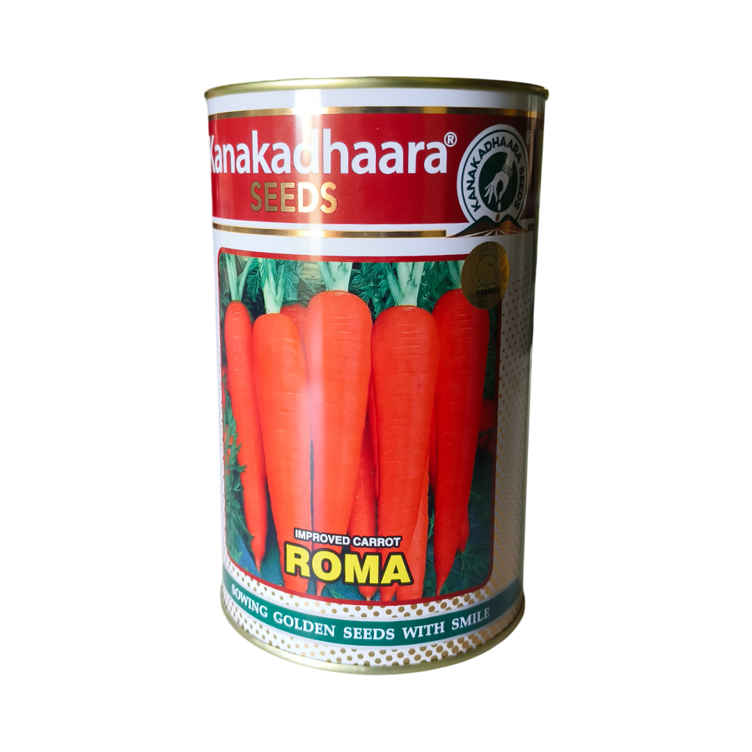Roma Carrot Seeds - Kanakadhaara Seeds | F1 Hybrid | Buy Online Now