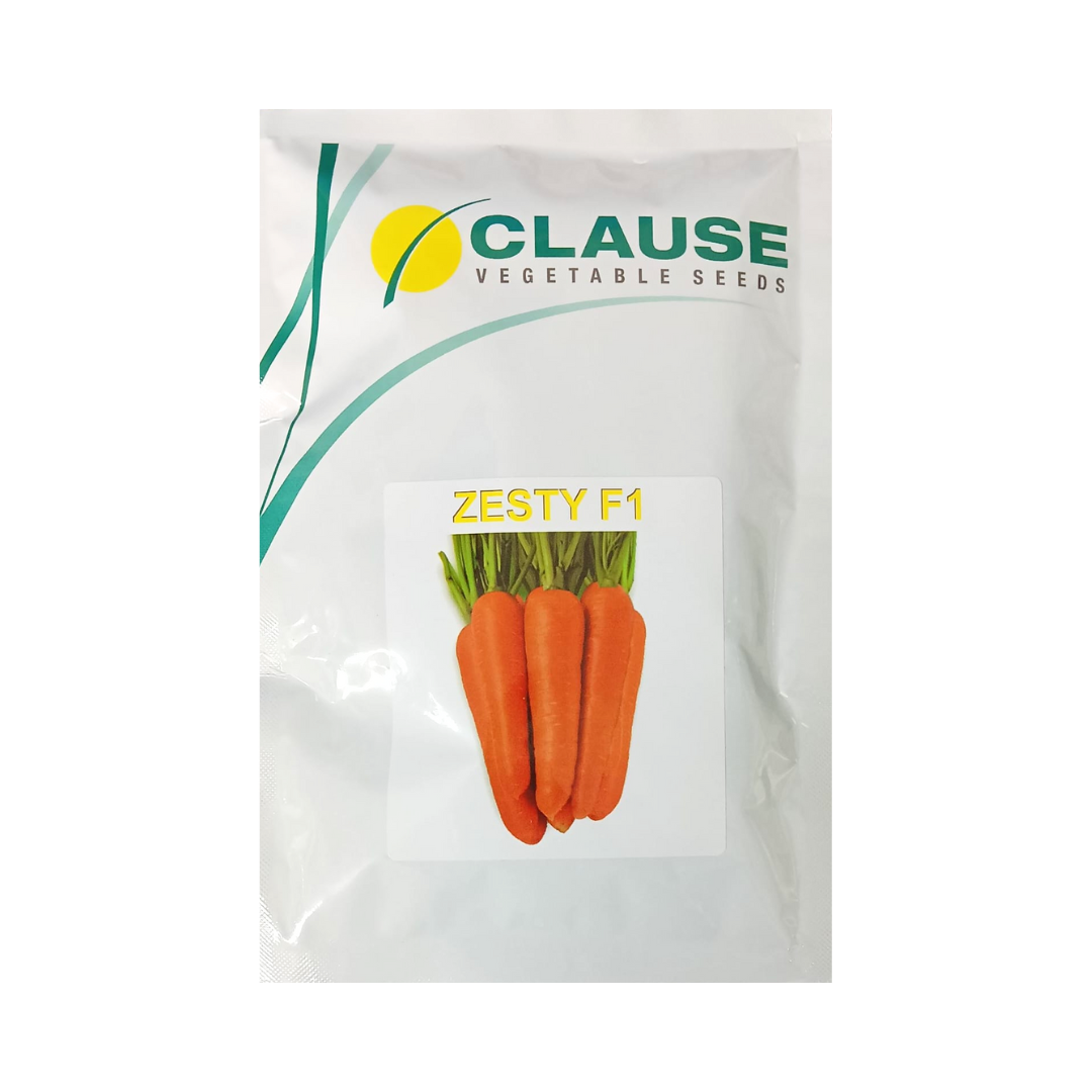 Zesty Carrot Seeds - HM Clause | F1 Hybrid | Buy Online Now - Desikheti