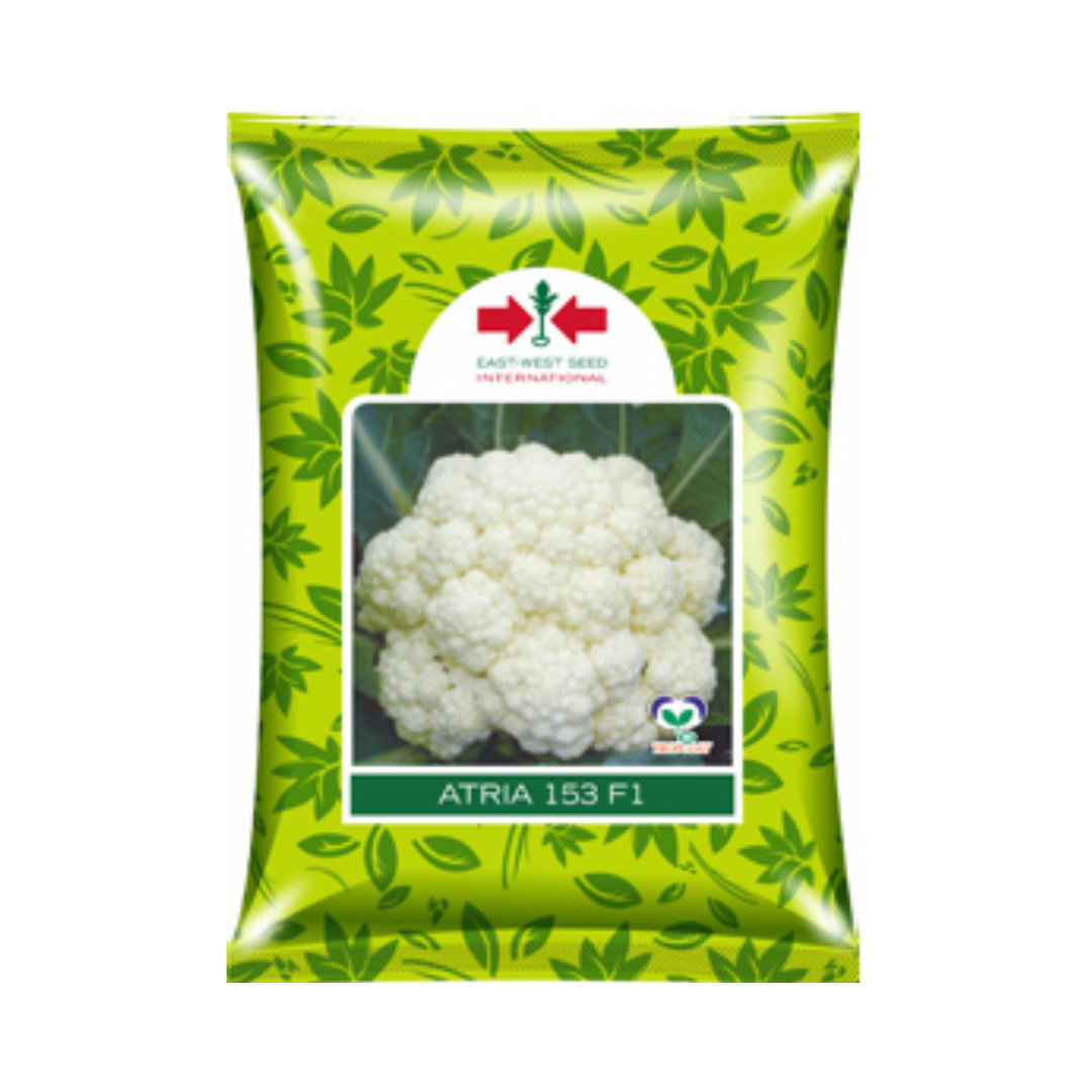 Atria 153 Cauliflower Seeds - East West | F1 Hybrid | Buy Online Now