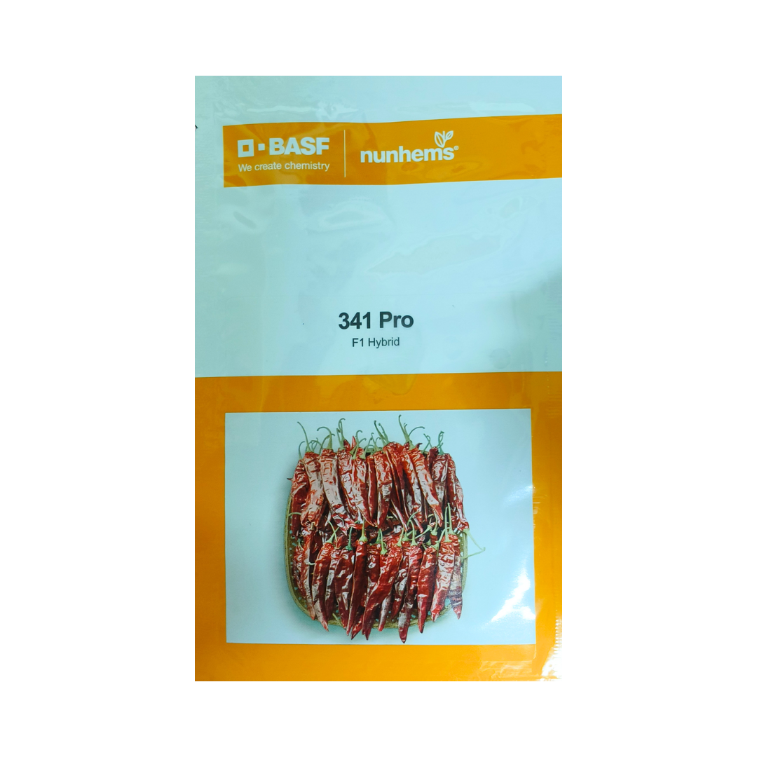341 Pro Chilli Seeds - Nunhems | F1 Hybrid | Buy Online at Best Price