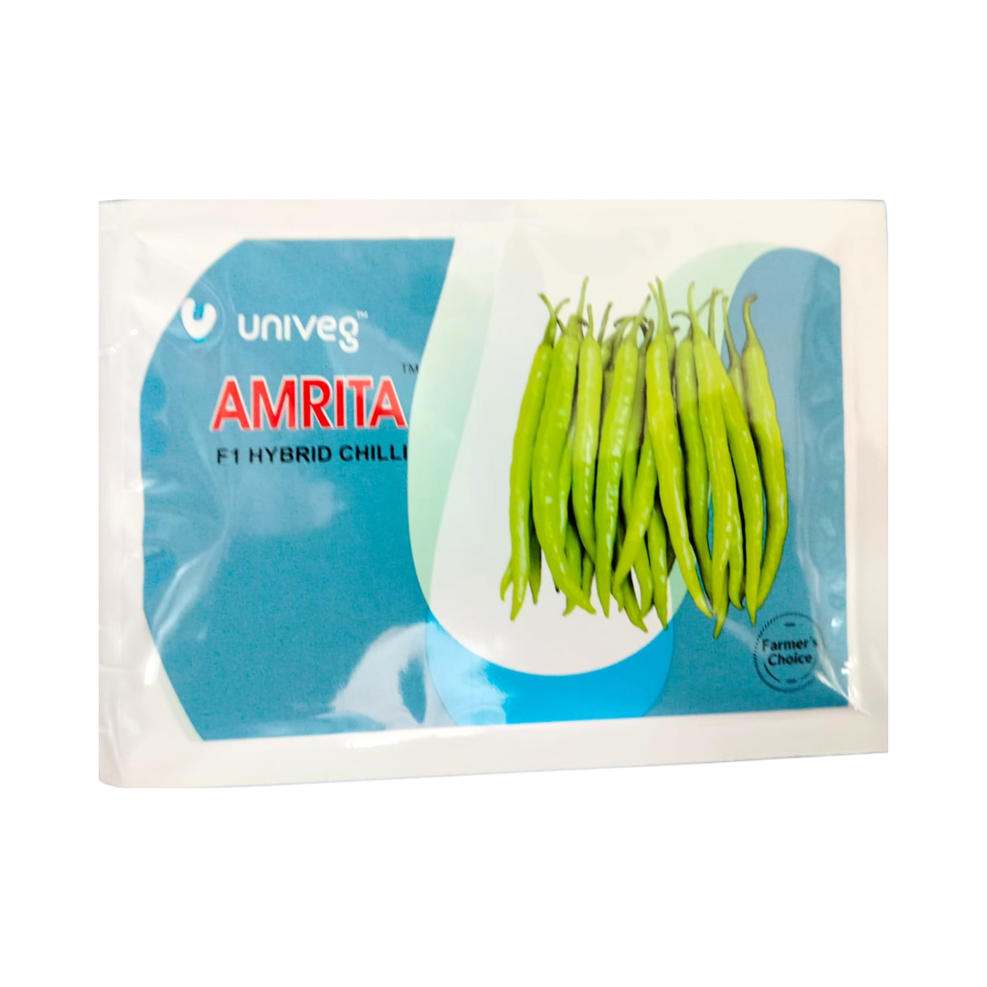 Amrita Chilli Seeds - Univeg | F1 Hybrid | Buy Online at Best Price