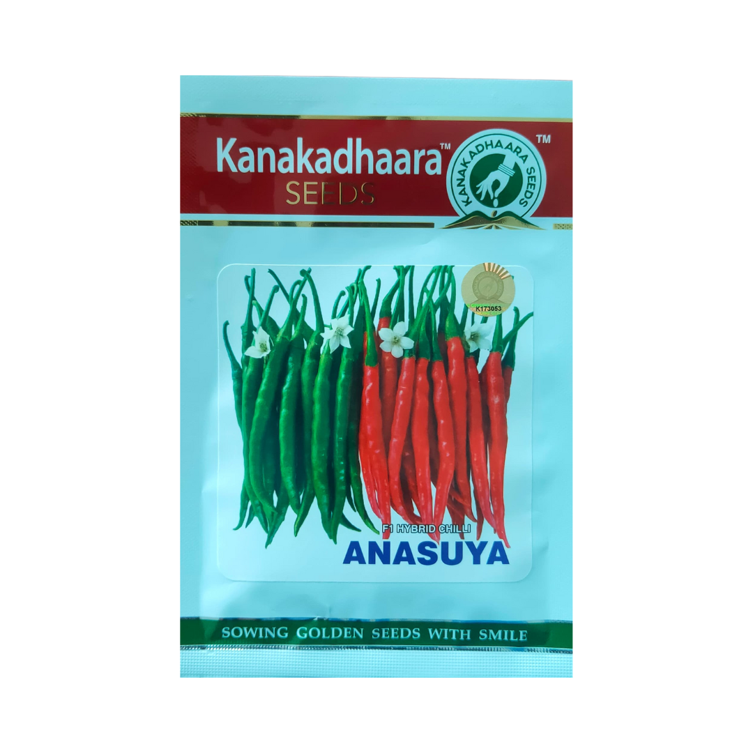 Anasuya Chilli Seeds - Kanakadhaara Seeds | F1 Hybrid | Buy Online Now