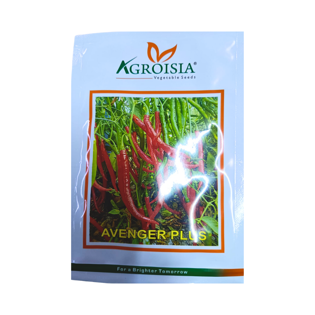 Avenger plus Chilli Seeds - Agroisia | F1 Hybrid | Buy Online Now
