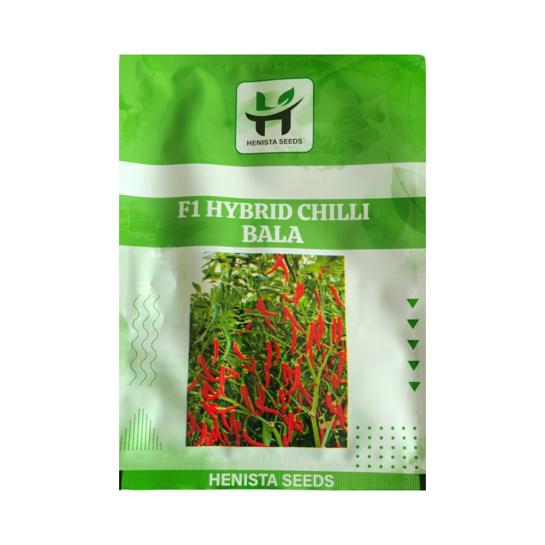 Bala Chilli Seeds - Henista Seeds | F1 Hybrid | Buy Online at Best Price