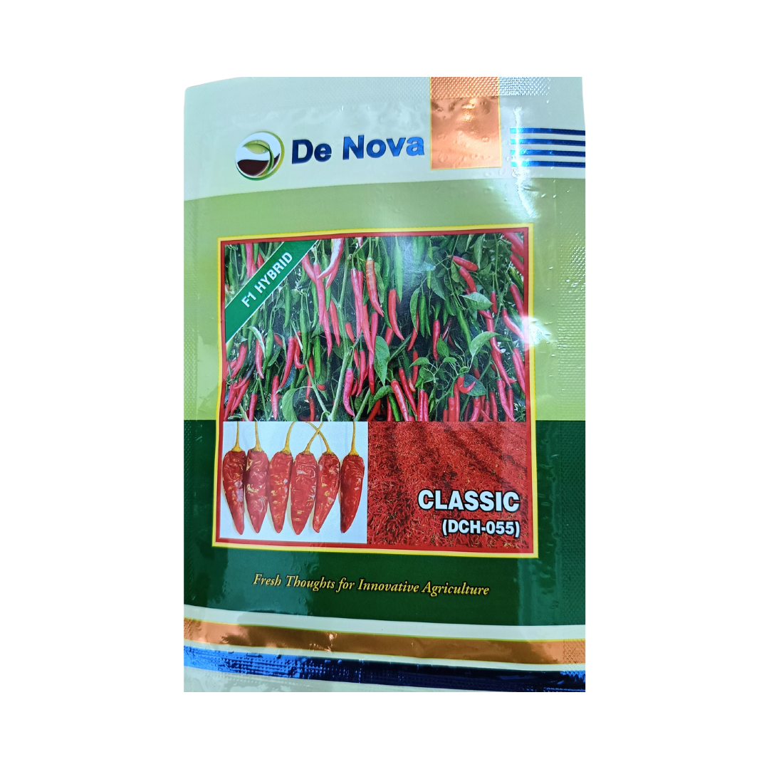 Classic (DCH-055) Chilli Seeds - De noova| F1 Hybrid | Buy Online Now