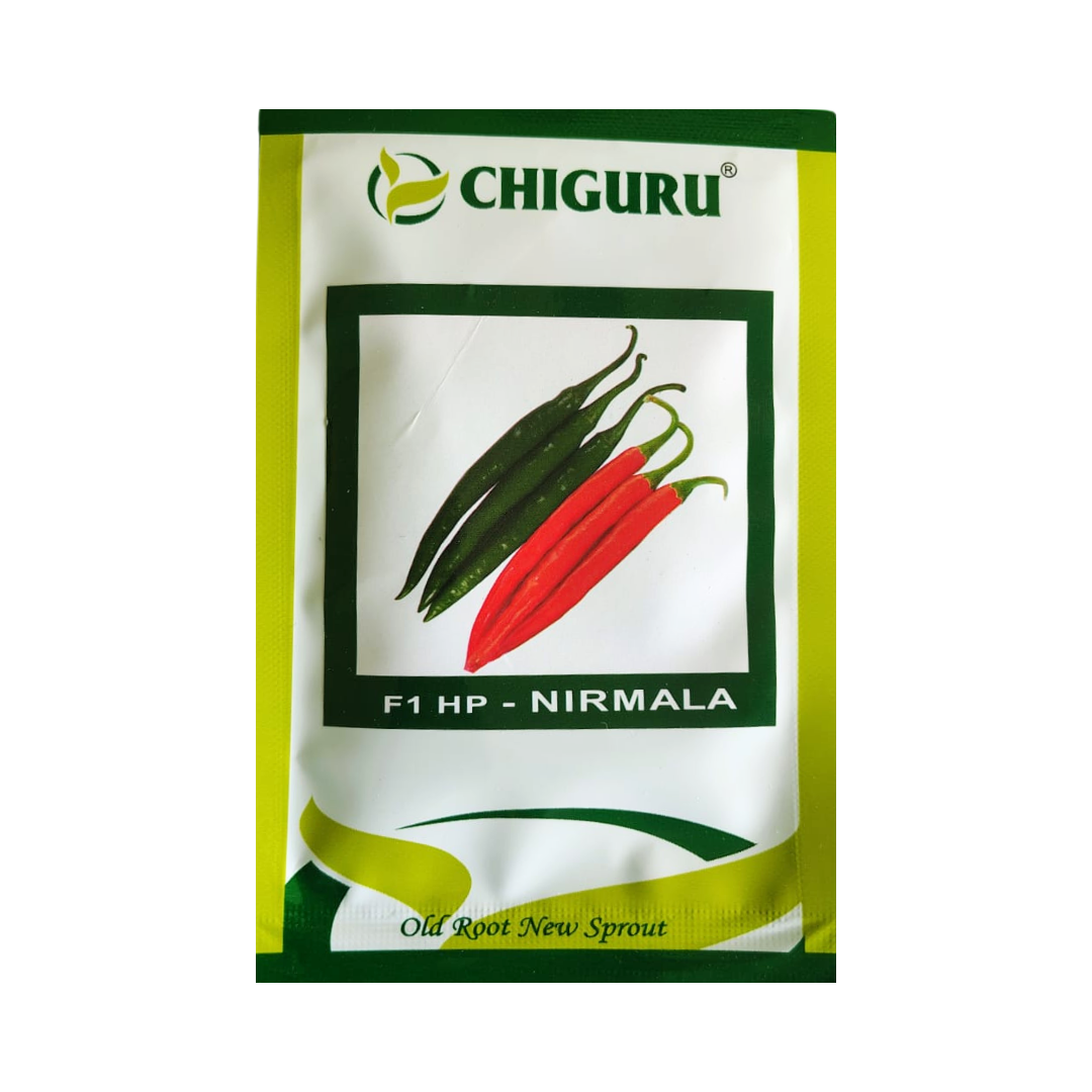 HP - Nirmala Chilli Seeds - Chiguru Seeds | F1 Hybrid | Buy Online Now