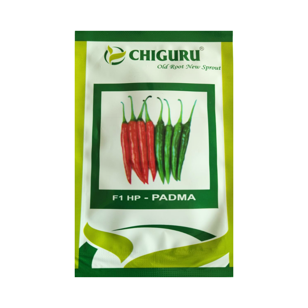 HP - Padma Chilli Seeds - Chiguru Seeds | F1 Hybrid | Buy Online Now