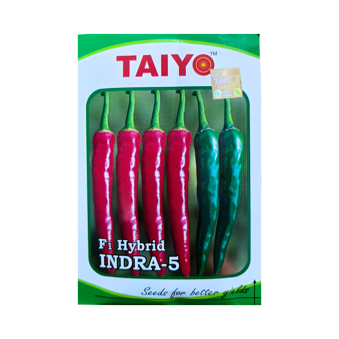 Indra-5 Chilli Seeds