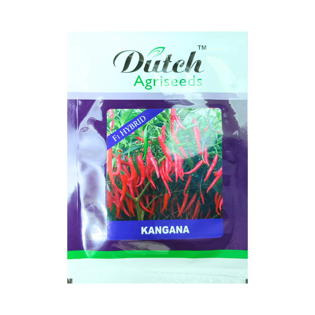 Kangana Chilli Seeds - Dutch Agriseeds | F1 Hybrid | Buy Online Now