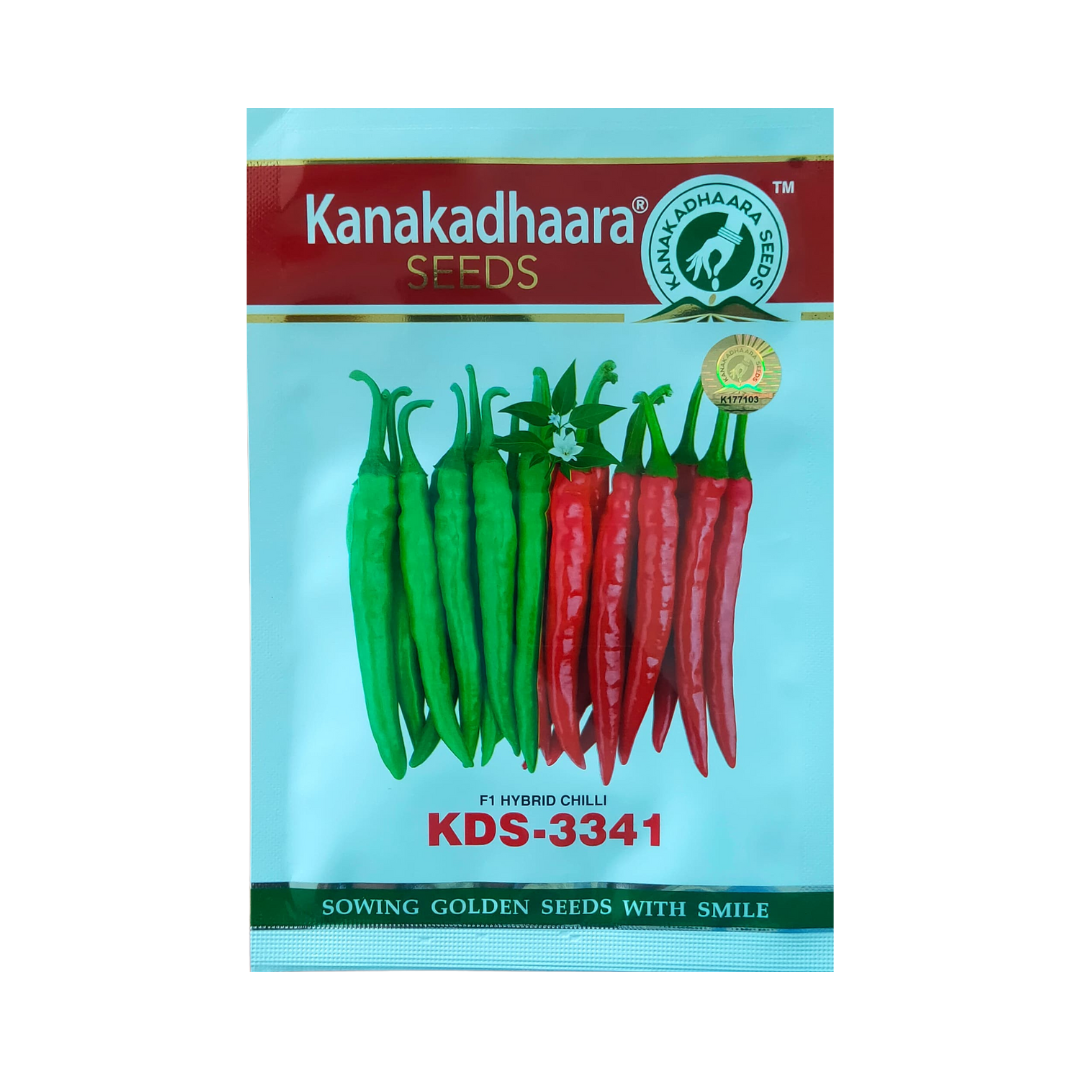KDS-3341 Chilli Seeds - Kanakadhaara Seeds | F1 Hybrid | Buy Online