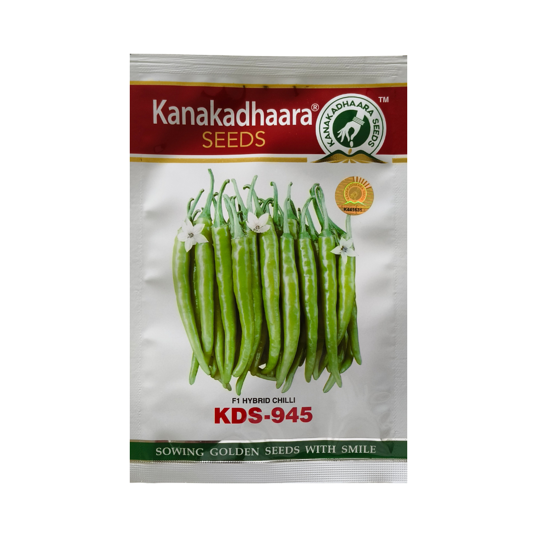 KDS-945 Chilli Seeds - Kanakadhaara Seeds | F1 Hybrid | Buy Online Now