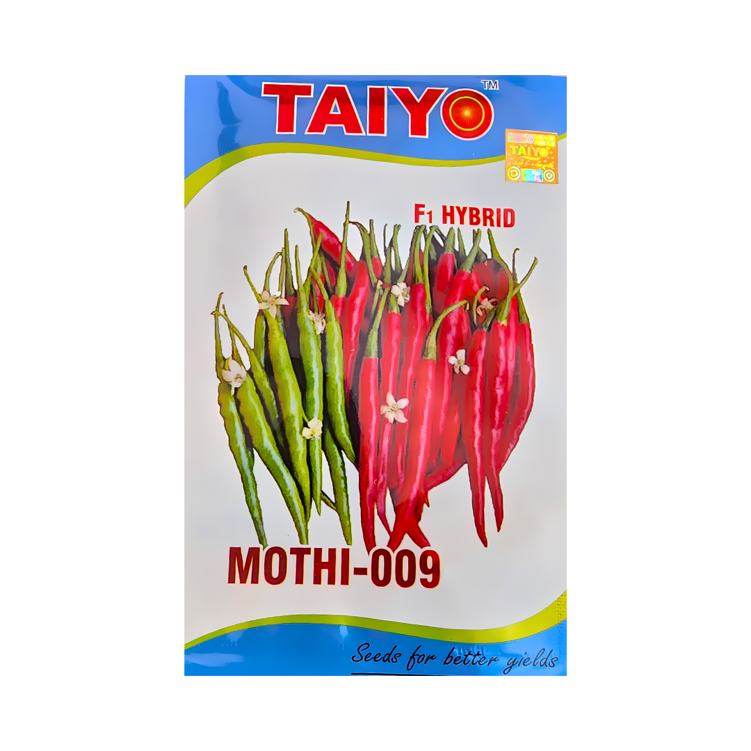 Mothi-009 Chilli Seeds - Taiyo | F1 Hybrid | Buy Online at Best Price
