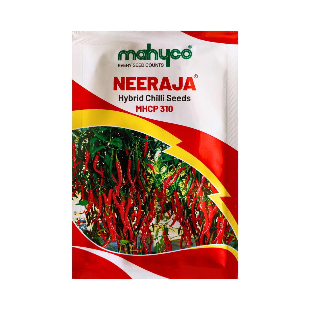 Neeraja Chilli Seeds - Mahyco | F1 Hybrid | Buy Online at Best Price