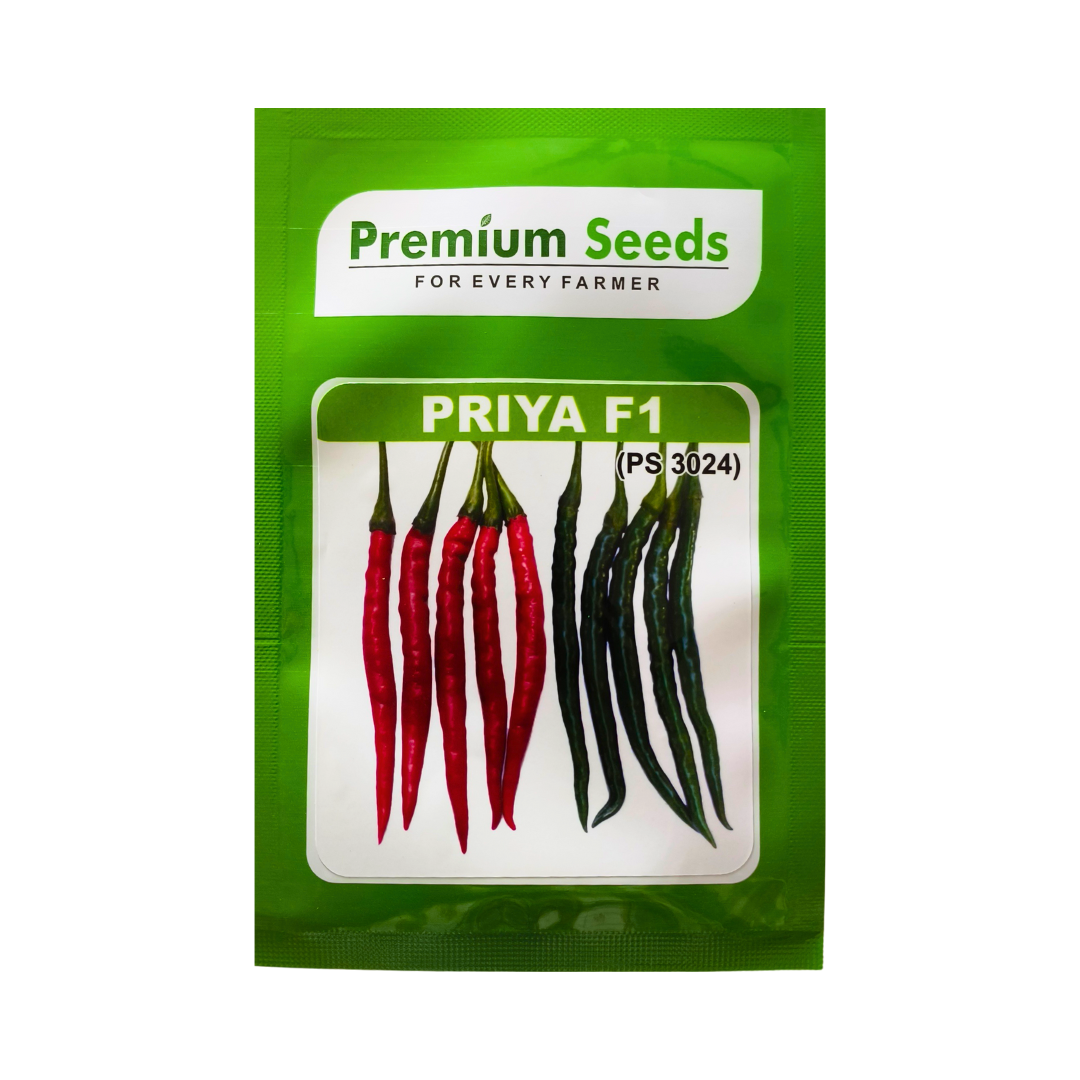 Priya Chilli Seeds - Premium | F1 Hybrid | Buy Online Now - DesiKheti