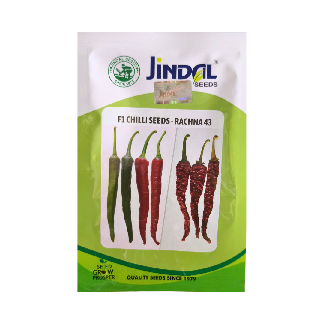 Rachna 43 Chilli Seeds - Jindal Seeds | F1 Hybrid | Buy Online Now