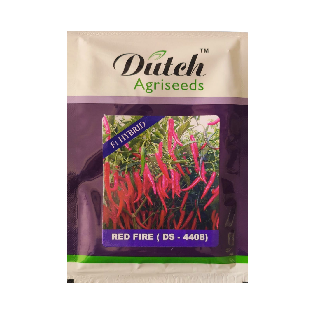 Red Fire (DS-4408) Chilli Seeds - Dutch Agriseeds | F1 Hybrid | Buy Online Now