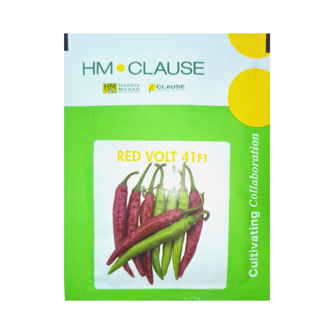 Red Volt 41 Chilli Seeds - HM Clause | F1 Hybrid | Buy Online - DesiKheti