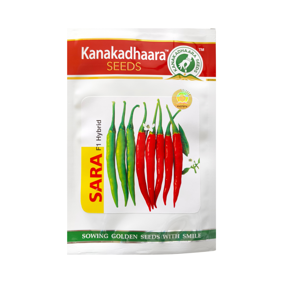 Sara Chilli Seeds - Kanakadhaara Seeds | F1 Hybrid | Buy Online Now