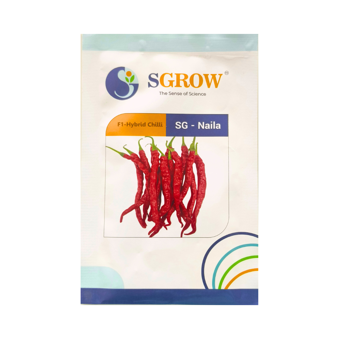 SG-Naila Chilli Seeds - Sgrow | F1 Hybrid | Buy Online at Best Price