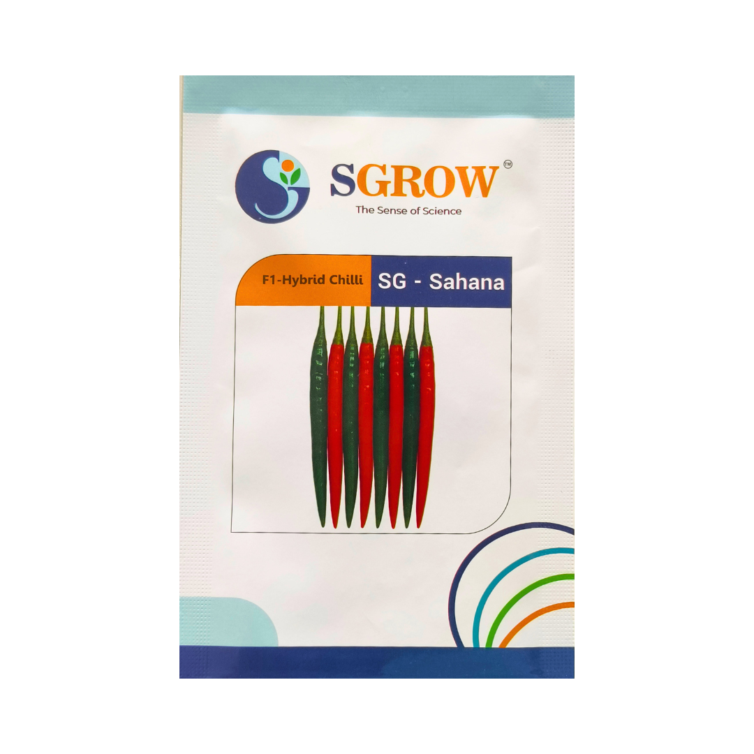 SG-Sahana Chilli Seeds - Sgrow | F1 Hybrid | Buy Online at Best Price