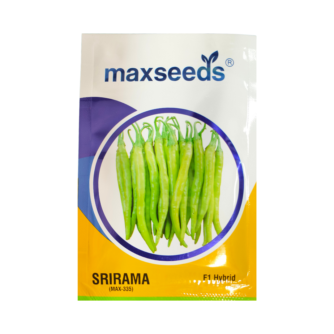 Srirama Chilli Seeds - Max | F1 Hybrid Mirchi | Buy Online - DesiKheti