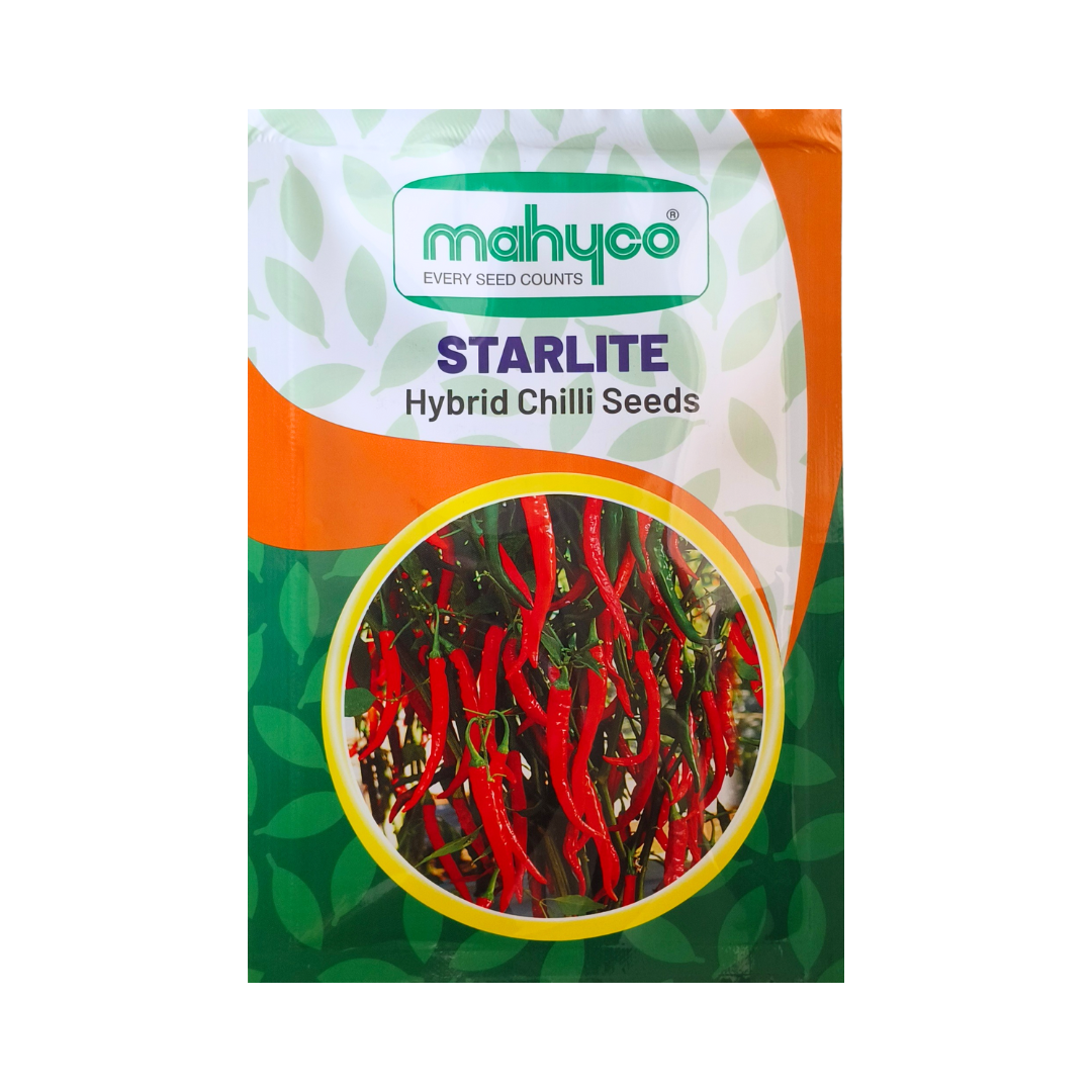 Starlite Chilli Seeds - Mahyco | F1 Hybrid | Buy Online at Best Price