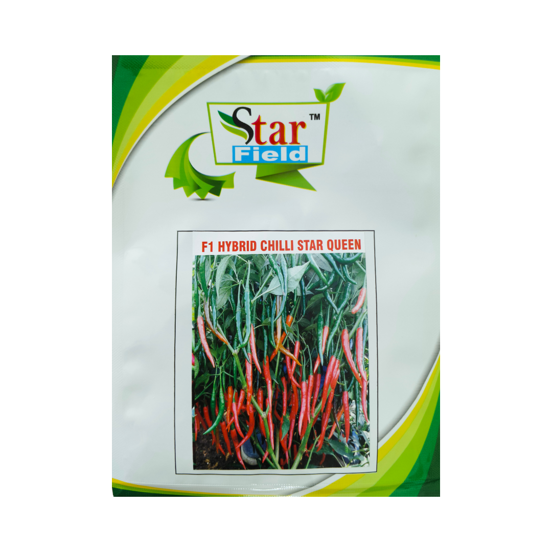 Star Queen Chilli Seeds - Star Field | F1 Hybrid | Buy Online Now
