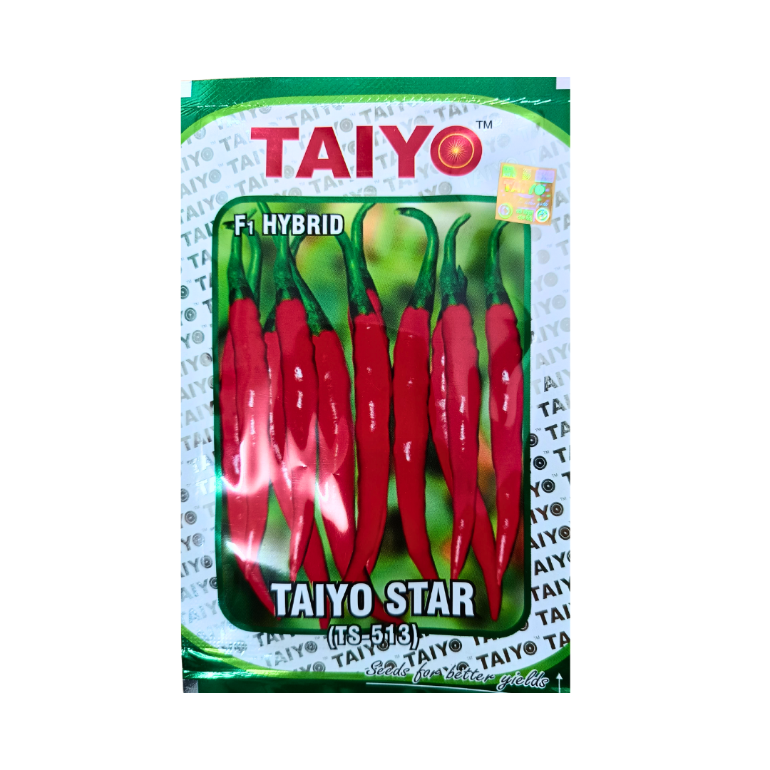 Taiyo Star (TS-513) Chilli Seeds | F1 Hybrid | Buy Online Now