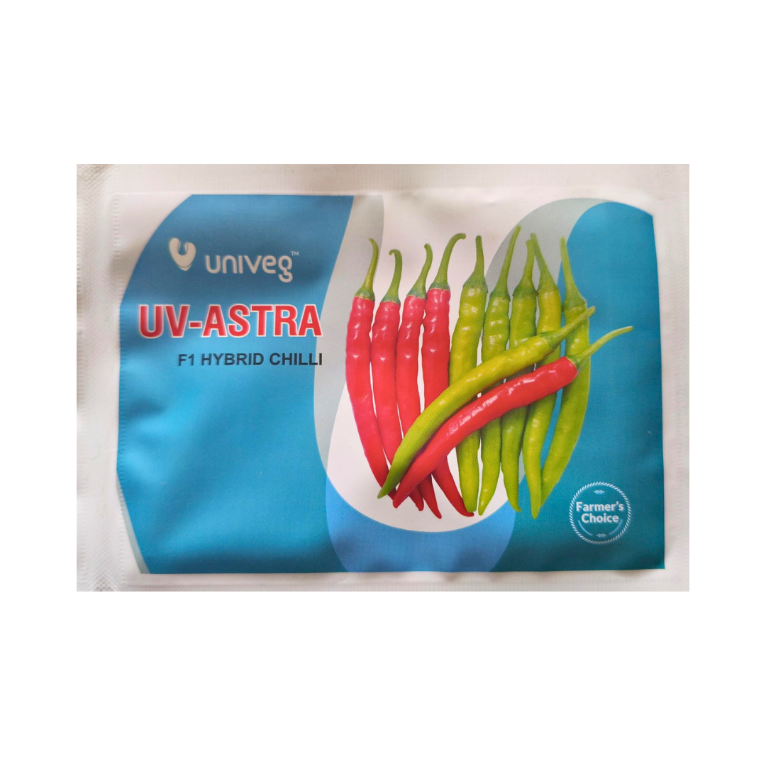 UV-Astra Chilli Seeds - Univeg | F1 Hybrid | Buy Online at Best Price